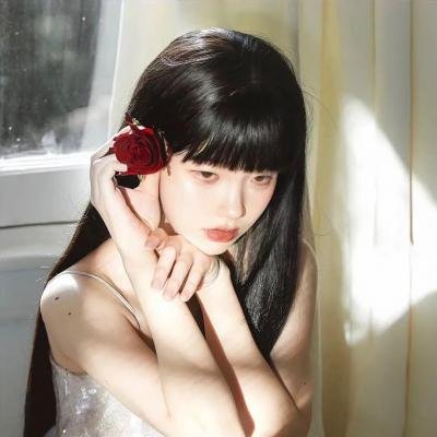 布里叶女士